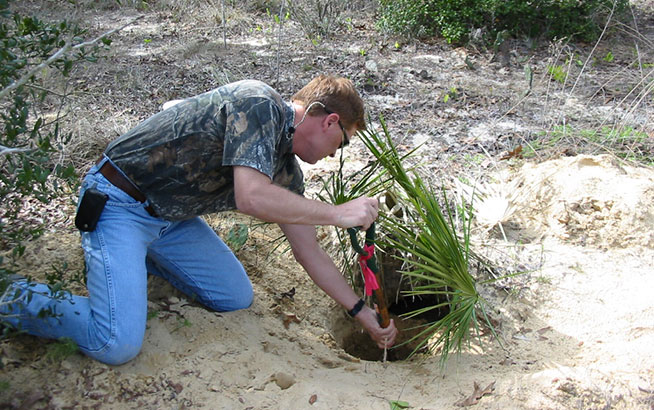 environmental gallery 2