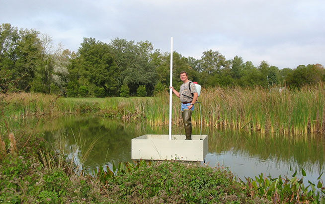 environmental gallery 4