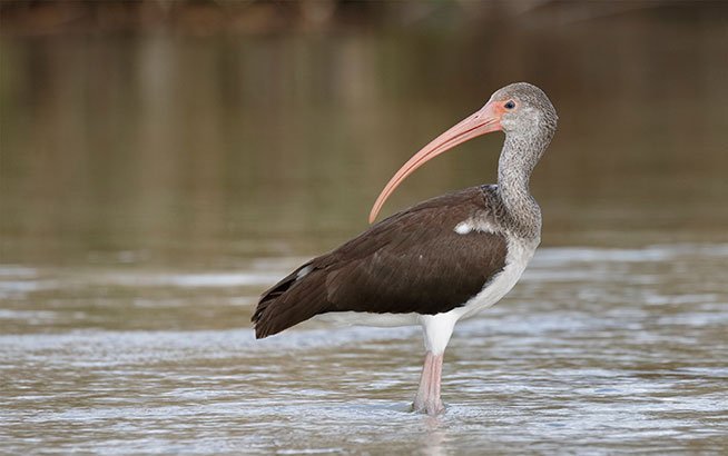 environmental gallery 5